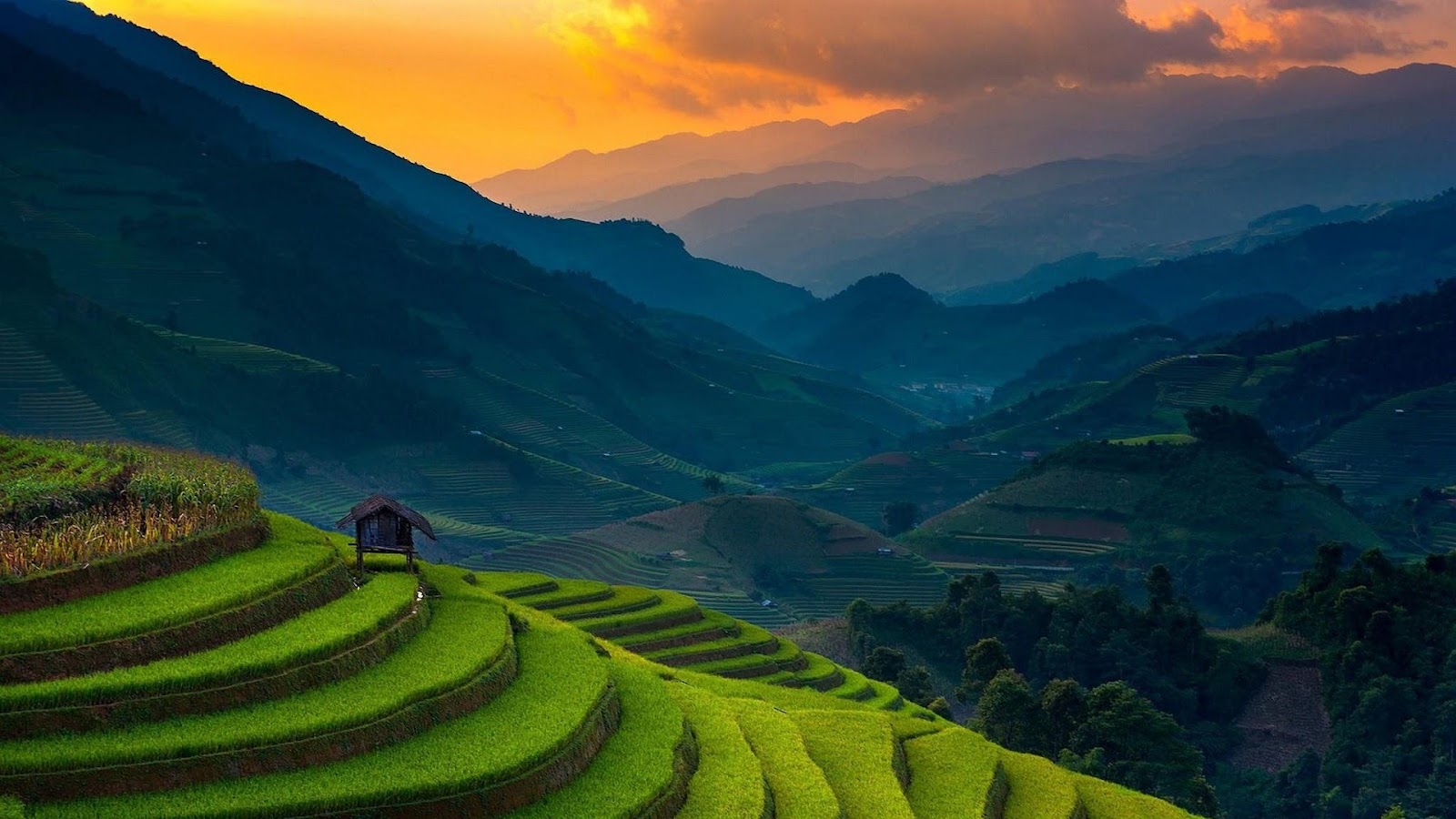 Banaue Rice Terraces, Philippines